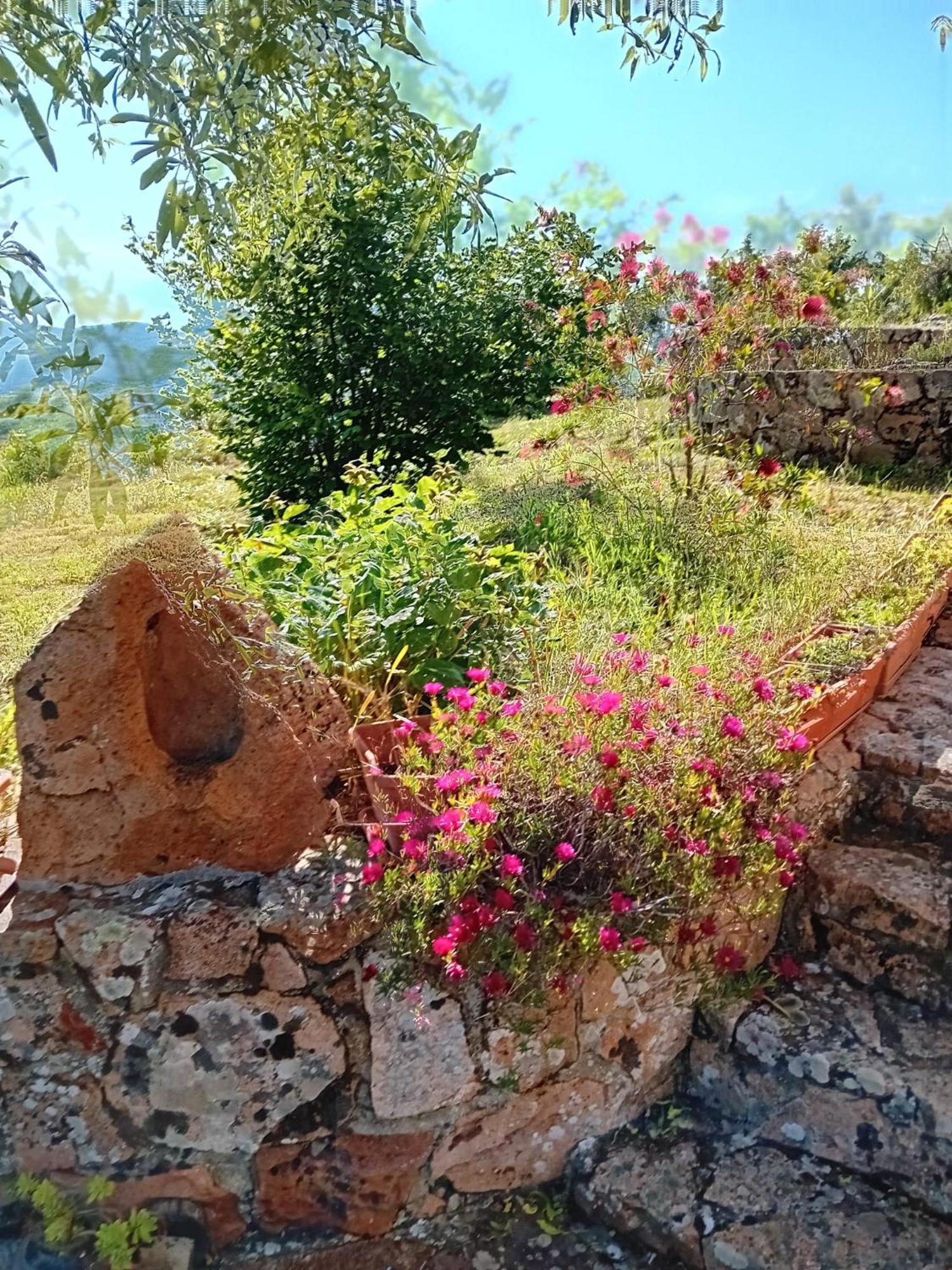 Lugori Bed & Breakfast Seùlo Eksteriør bilde